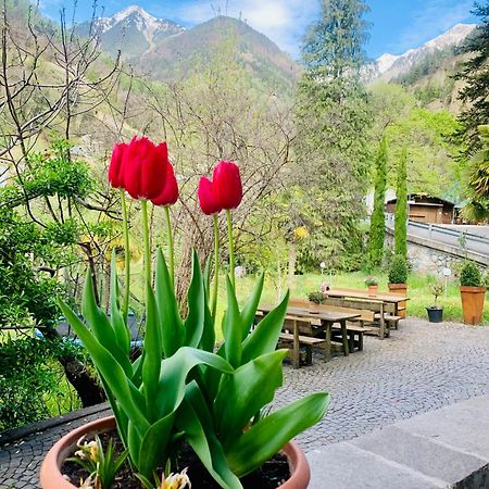 Tannerhof Bed & Breakfast Caines Εξωτερικό φωτογραφία