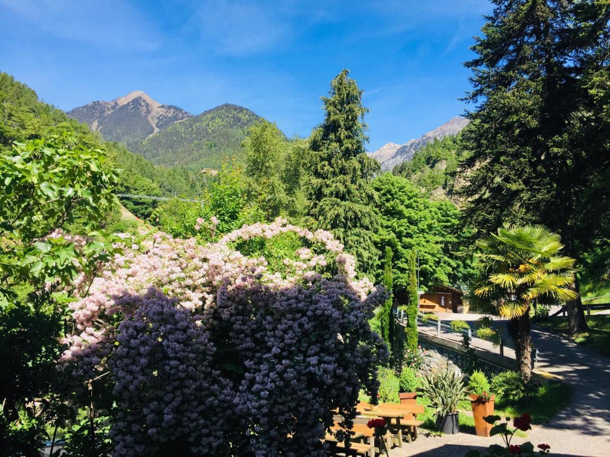Tannerhof Bed & Breakfast Caines Εξωτερικό φωτογραφία
