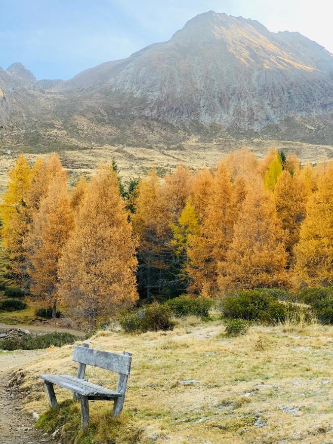 Tannerhof Bed & Breakfast Caines Εξωτερικό φωτογραφία