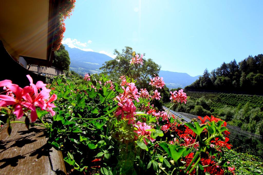 Tannerhof Bed & Breakfast Caines Δωμάτιο φωτογραφία